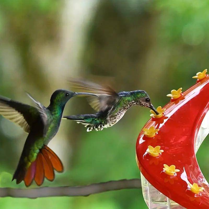 Flower Decor Bird Feeder 1pc